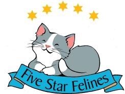 Five Star Felines